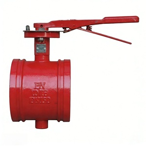 Bola de Hierro Dúctil Roja de Alta Calidad con Ranura y Asa, Tipo Manual, Garantía de Un Año - Product Image 5