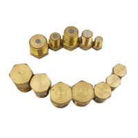 Bouchon de tuyau fusible en laiton pour réfrigération NPT 3/8\" 1/2\" Décompression Température 100 degrés