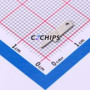 197124001 Solder Tab Terminal Through hole Component (THT) Terminal - Product Image 1
