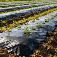 Film de paillage agricole en plastique entièrement biodégradable, durable et non toxique, prix usine