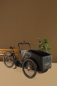 Vélo cargo électrique, entrepôt européen, tricycle familial néerlandais à 3 roues, 250W, moteur sans balais, cadre en acier, frein à disque, Lastenrad - Product Image 3