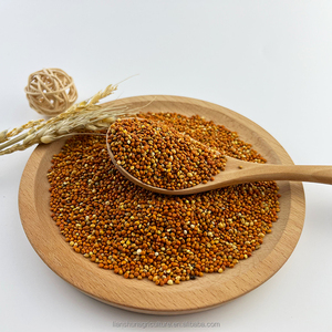 Nouvelle récolte, approvisionnement direct usine, <span class=keywords><strong>millet</strong></span> rouge en coque de haute qualité à prix abordable - Product Image 3