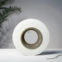 Torsion personnalisable et couleurs 100% polyester recyclé FDY fil blanc brut 190D/48F avec certificat OEKO/GRS