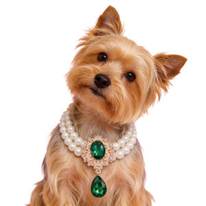 Ropa y Accesorios <span class=keywords><strong>de</strong></span> Lujo para Mascotas, Collar <span class=keywords><strong>de</strong></span> Perlas <span class=keywords><strong>de</strong></span> Doble Capa para Gatos/Perros, Colgante <span class=keywords><strong>de</strong></span> Piedras Preciosas, Diseño <span class=keywords><strong>de</strong></span> Princesa - Product Image 5