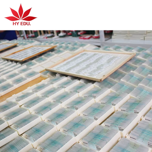 生物組織細胞スライド 顕微鏡スライド ガラス 小腸 人間組織学スライド - Product Image 4