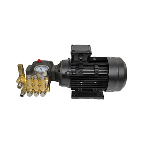 150bar 200bar 250bar Triplex Plunger Pump Motor High Water Car Wash Pump Head - Product Image 3