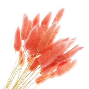 Sommerliche Deko-Blumen: Echte, natürliche getrocknete Hasenschwänze (<span class=keywords><strong>Lagurus</strong></span>) für die Heimdekoration - Product Image 1