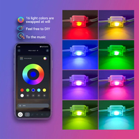 Luces de Navidad para Exteriores, Decoración de Fachadas de Edificios y Hoteles, Control Remoto, IP67, Luces LED RGB de 1W, Fuente de Luz Puntual de PC