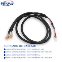 Harnais de câblage automobile sur mesure BeiXing E00242 avec âme en cuivre et isolation en PVC/caoutchouc - Fabricant