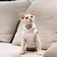 OEM ODM Sweat à capuche sans manches pour chat Sphynx, imprimé cœurs roses, vêtements pour chat Sphynx, gilet à capuche pour chat sans poils, haut pour chaton, vêtements pour animaux de compagnie