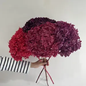 批发真触摸干花保存绣球花带茎用于婚礼装饰 - Product Image 5