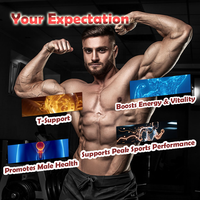 Capsules d'extrait de racine de maca noire OEM, complément naturel de testostérone, soutenant la vitalité, la force et l'équilibre hormonal pour les hommes