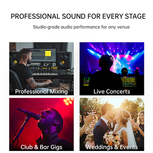 Mezclador de <span class=keywords><strong>Audio</strong></span> Profesional de 6 Canales, 256 Efectos DSP, Ecualizador de 7 Bandas, USB, Bluetooth, Alimentación Phantom de 48V, MV-6 - Product Image 4