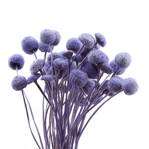 Chrysanthème <span class=keywords><strong>bouton</strong></span> de fleur <span class=keywords><strong>séchée</strong></span> de haute qualité, fleur éternelle pour mariage, fête des mères, présenté dans un coffret cadeau, matériaux floraux - Product Image 2