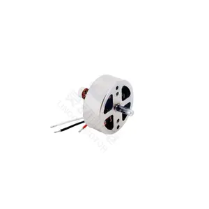 Hoge Efficiëntie Lage Onderhoud Langdurige Borstelloze Motor 5.5V 2.5W Met 16916Rpm Cw/Ccw Bldc Motoren