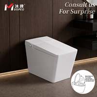 WC intelligent MUUPEG avec réservoir d'eau dissimulé chauffé automatiquement, télécommande, siège chauffant, fonction lavage féminin, pour villa et appartement
