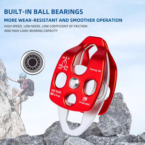 Puleggia Industriale con Doppia Puleggia Isolata per Gestione Sicura ed Efficiente del Carico in Altezza - Product Image 2