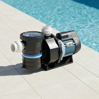 SB20 2HP Elektrische Schwimmbad-Wasserpumpe Hochdruck 2HP Poolfilter Verfügbar Schwimmbadzubehör