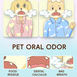 450ml Eco-Friendly Pet <strong>Ear</strong> Drops for Cats and <strong>Dogs</strong> Oral Hygiene Care Fresh Breath Treatment - Product Image 5
