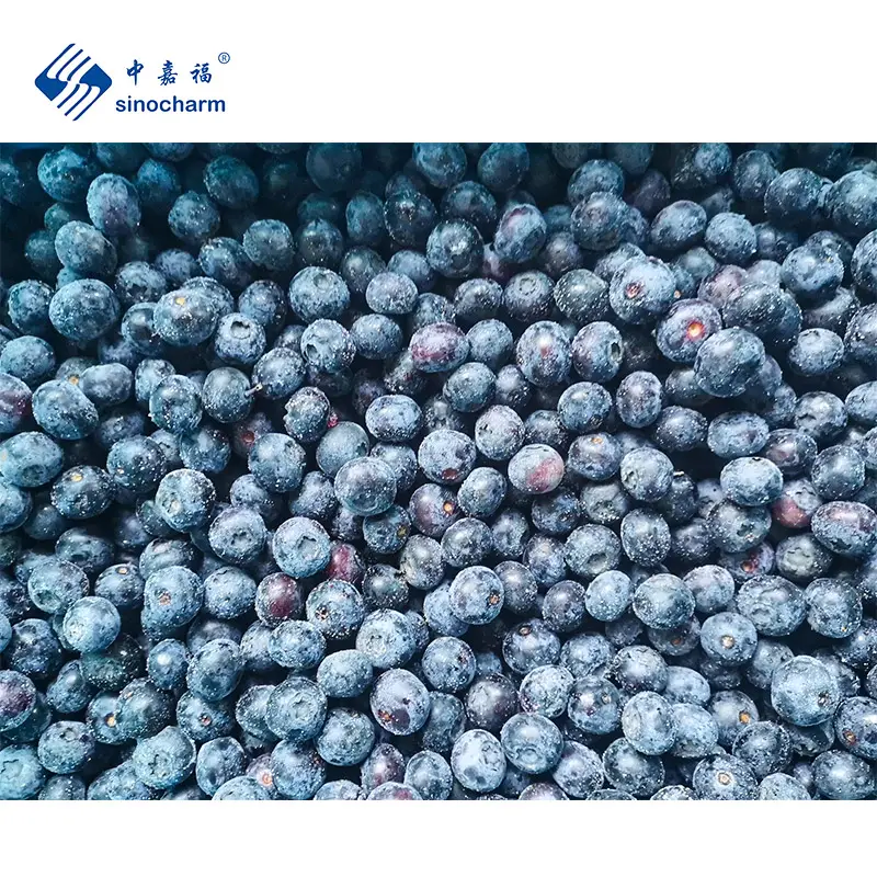 Bán Sỉ Trái Cây Tươi IQF Đông Lạnh Blueberry