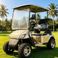 Voiturette de golf électrique 2 places avec GPS pour la location – Vente en gros