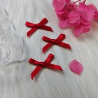 Lazo de nailon colorido para decoración de ropa interior, 2 cm, cinta de terciopelo rojo con alambre, modelo M1260, solo para ti