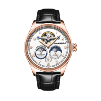 Montre mécanique automatique de luxe HANBORO pour homme, boîtier en acier inoxydable, haute qualité, étanche 5 ATM, luminescente, double hémisphère