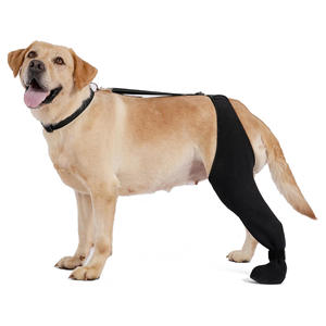 Nouveaux étuis de <span class=keywords><strong>protection</strong></span> pour animaux de compagnie, protège-jambes pour chien anti-léchage et mordant, équipement de <span class=keywords><strong>protection</strong></span> pour chien à souche ligamentaire articulaire du genou - Product Image 1