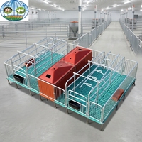 Cage de maternité et d'accouchement galvanisée pour truies, équipement porcin, vente directe usine