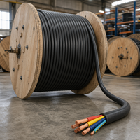 Kabel Daya Tembaga Berlapis Baja XLPE 0.6/1kV YJV YJV22 4x150mm2+1x70mm2 4x185mm2+1x95mm2 Berselubung 4 Inti
