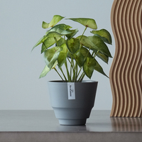 Pots de fleurs décoratifs en plastique pour plantes d'intérieur, de haute qualité, écologiques, durables, pour la maison