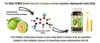 Garcinia Cambogia Extract China Pure Hca Garcinia Cambogia Fruit Extract Poeder/Garcinia Cambogia P.e