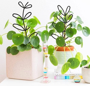Supports de plantes de jardin en métal en forme de feuille, treillis de grimpée courbé <span class=keywords><strong>pour</strong></span> plantes - Product Image 4