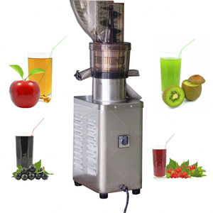 Presse-agrumes commercial puissant <span class=keywords><strong>à</strong></span> vitesse lente pour fruits et légumes, carotte, <span class=keywords><strong>jus</strong></span> <span class=keywords><strong>de</strong></span> gingembre, presse-agrumes <span class=keywords><strong>à</strong></span> <span class=keywords><strong>froid</strong></span> en acier inoxydable pour pomme - Product Image 1
