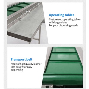 Venta Directa de Fábrica: Línea de Procesamiento para Granos, Snacks y Gránulos en Bolsas/Sachets, Cinta Transportadora Horizontal Plana de Acero Inoxidable y PVC - Product Image 3
