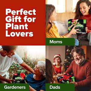 Kit de inicio de árbol de bonsái pequeño de lujo, Kit de cultivo de jardín <span class=keywords><strong>interior</strong></span> con herramientas de maceta de fertilizante para el cuidado de las plantas - Product Image 6