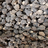 Vente en gros Tablette de maca noire chinoise à base de plantes saines Ultimate Maca Plus