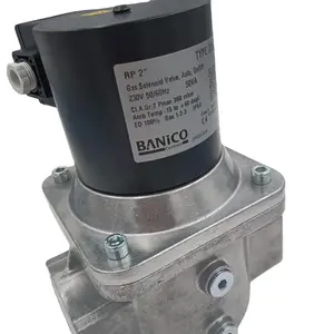 Shang Hai Ran Xian ZEV32 Solenoid valve Fast open and close without flow regulation for BANICO Spot 20