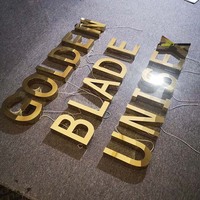 Edelstahl LED Durchstoßkanalbuchstaben Schilder 3D Beleuchtete Außenwerbung Firmenlogo LED Seitenbeleuchtete Buchstaben
