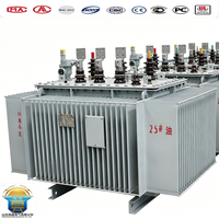 Transformateur triphasé immergé dans l'huile polyvalent 1000 10/0.4kv pour les acheteurs mondiaux