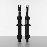Custom Bore Stroke Hydraulic Cylinder for Forestry Machine Log Loader Hydraulic Crane and Timber Handling Equipment