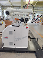 Robot de Paletización Colaborativo, 8-10 Ciclos/min, Carga de 30 kg, Altura de 2500 mm, Interfaz Gráfica Fácil, Sin Necesidad de Programación