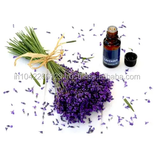 Minyak esensial Lavender (Lavender)-100% minyak murni & alami terapi Herbal bakteri