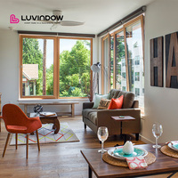 Ventanas de Madera Personalizadas de Alto Rendimiento con Marco Delgado, Ventanas Oscilobatientes con Paneles de Vidrio Grandes para Residencias Urbanas