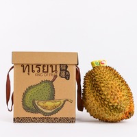 Emballage Kraft personnalisé Carton Papier Carton Valise Boîte-cadeau avec poignée