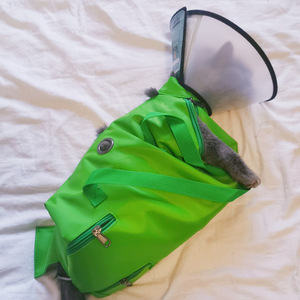 Transportín Plegable para Gatos Color Verde para Viajes y Transporte Aéreo con Cierre de Cremallera y Correas Ajustables - Product Image 4
