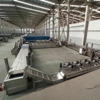 Industriële Nieuwe Bevroren Frietjes Aardappelchips Verwerkingslijn Frituurmachines