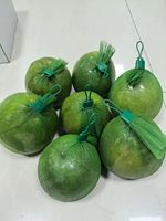 Goede kwaliteit plastic PE groente-, knoflook-, gember-, pompoen- en fruitnetzakken op rol, op maat gemaakte ui-, aardappel-, ei- en speelgoed PP verpakkingsnetzakken