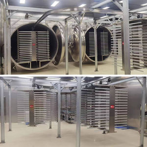 Lyophilisateur industriel à haut rendement Capacités de 1000kg et 2000kg Équipement de lyophilisation automatique pour la transformation des aliments - Product Image 2