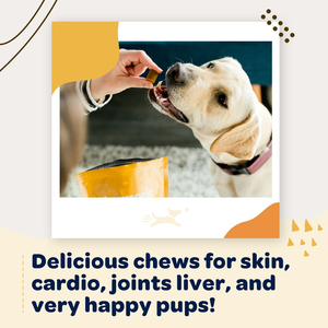 Integratore <span class=keywords><strong>per</strong></span> <span class=keywords><strong>Cani</strong></span> OEM/ODM con Curcuma, Collagene e <span class=keywords><strong>Olio</strong></span> <span class=keywords><strong>di</strong></span> <span class=keywords><strong>Cocco</strong></span> - Supporto <span class=keywords><strong>per</strong></span> Articolazioni, Fegato e Cuore - Masticabili Vitality Senza Cereali Tutto-in-Uno - Product Image 6